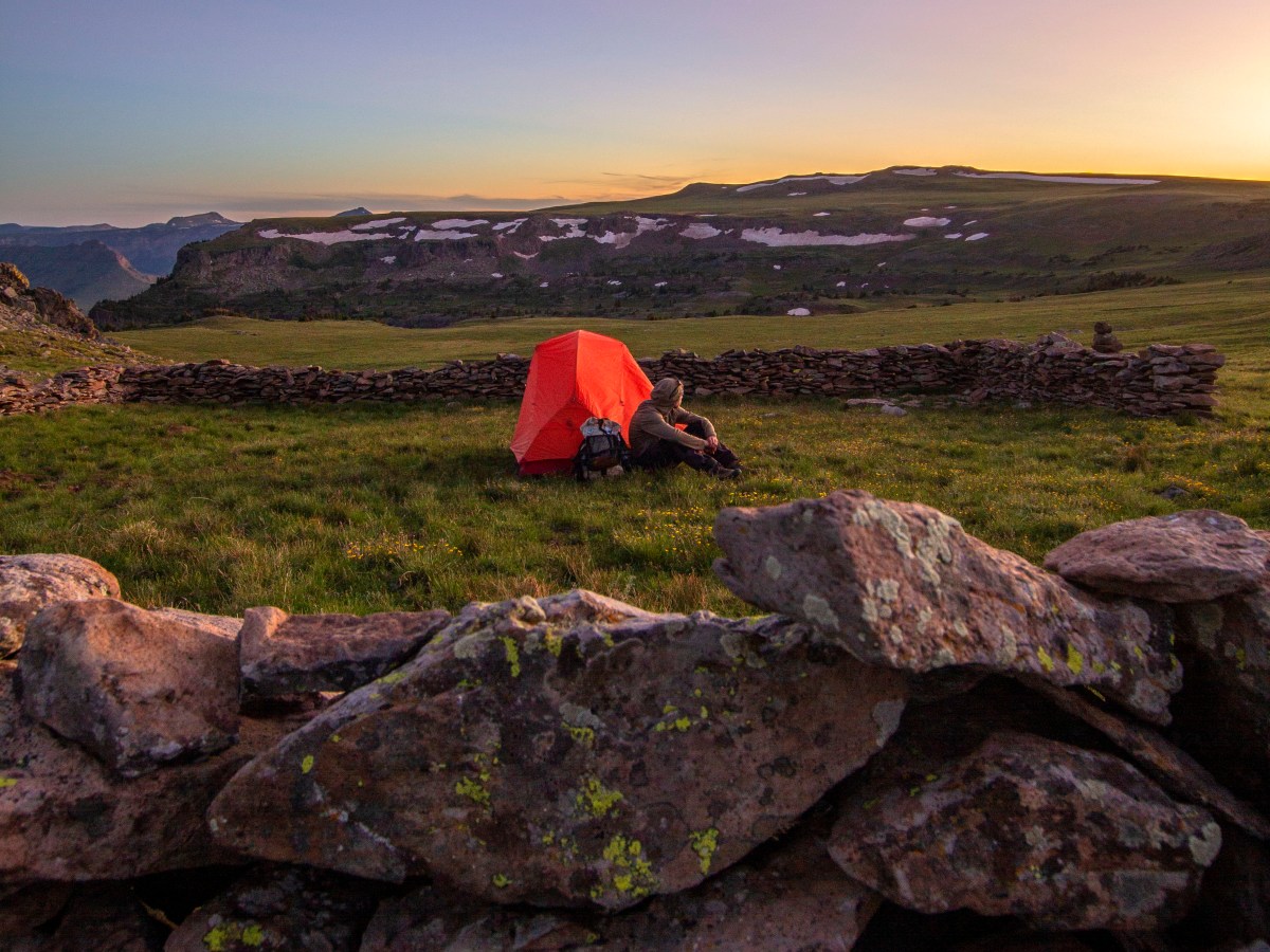 The indispensable creation of&nbsp;Wilderness